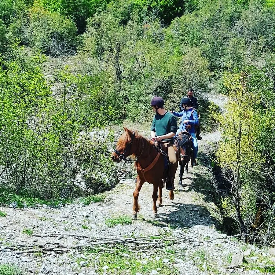 Funky Guest House & Adventures Permet Albania