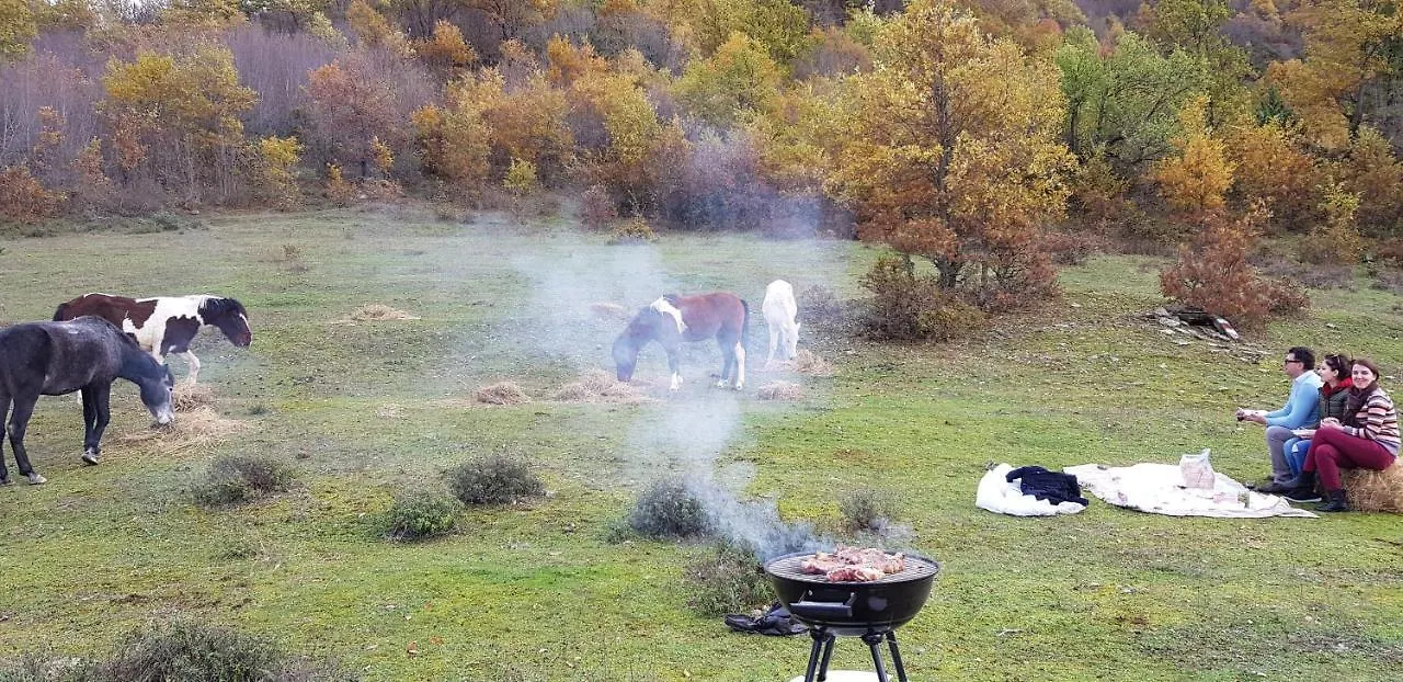 ***  Funky Guest House&Adventures Përmet Albanien